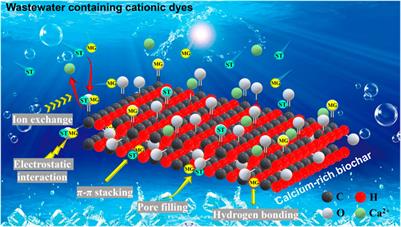 A new type of calcium-rich biochars derived from spent mushroom substrates and their efficient adsorption properties for cationic dyes